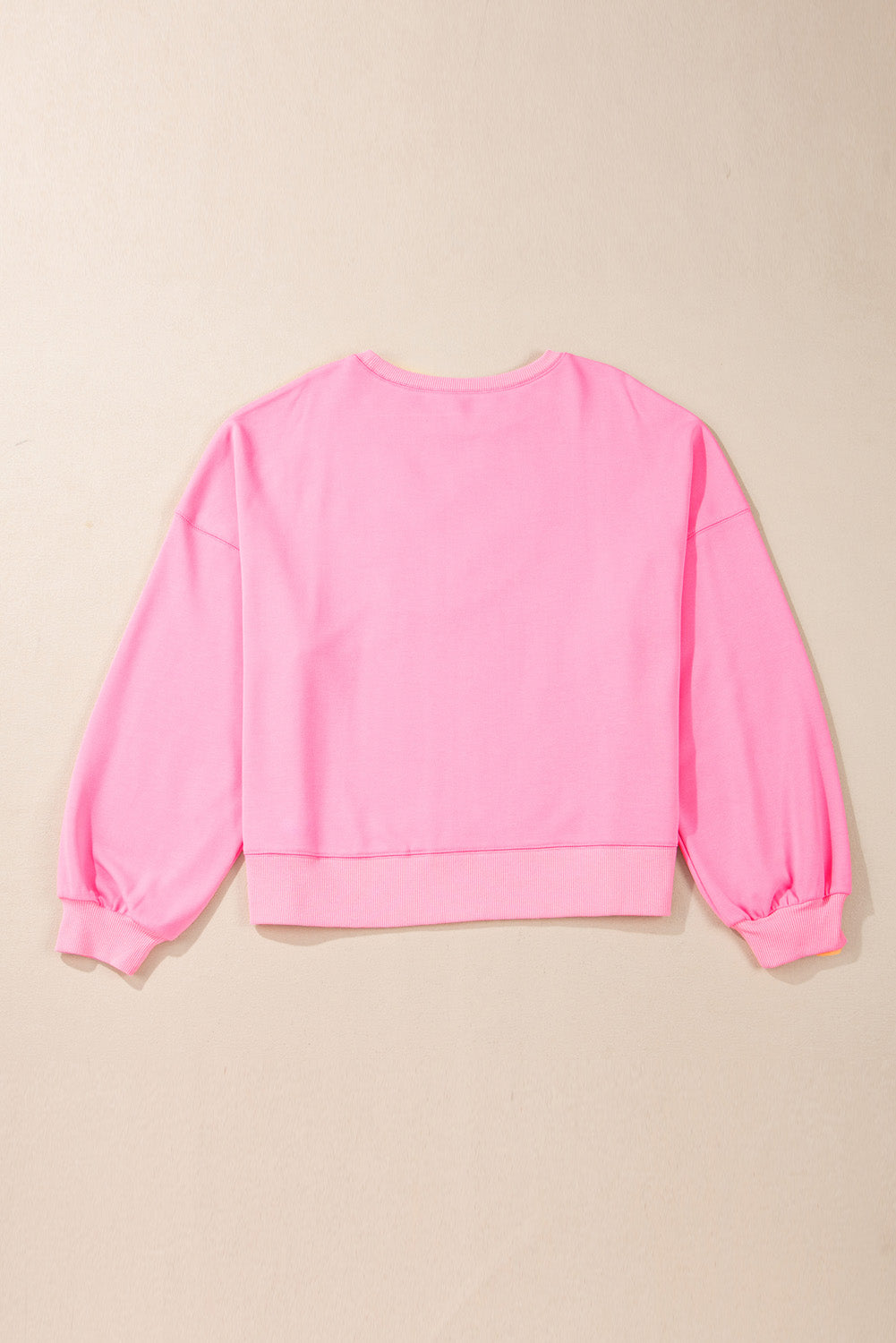 Pink Touch Down Embroidered Sweatshirt in CURVY SIZE ONLY