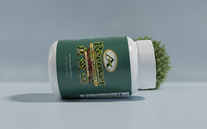 Chocolate Whey Protein image 2