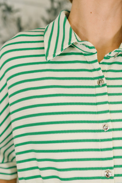 Green and white striped polo shirt with a blurred background