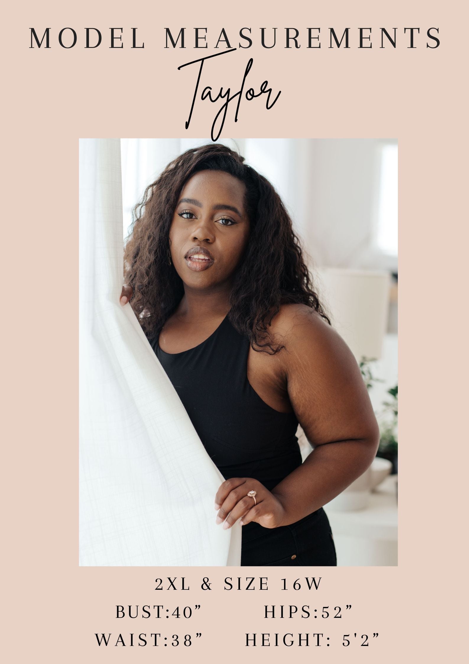 Model measurements for Taylor with a neutral background