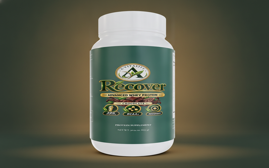 Chocolate Whey Protein image 1