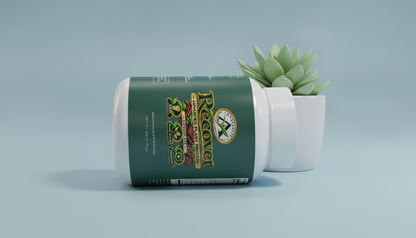 Chocolate Plant Protein image 2